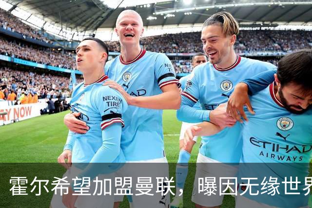 霍尔希望加盟曼联，曝因无缘世界杯与纽卡闹翻！转会费至少5000万